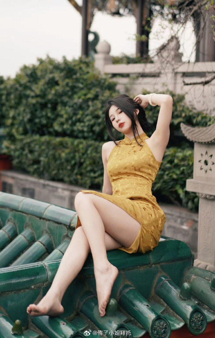 闻香识女人 封面